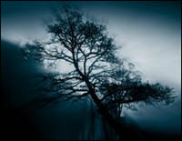 About Hypmovation